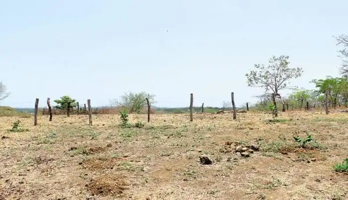 Las parcelas agrícolas de Condadillo sin cultivos este año, por la incertidumbre del aeropuerto. / I.C.
