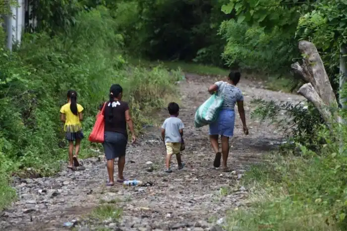 Uno de cada cuatro hogares se encuentra en condición de pobreza multidimensional, según el PNUD. /DEM