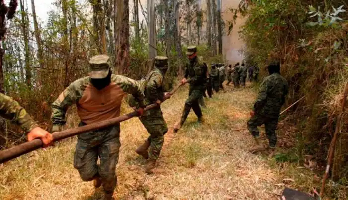 Los militares sostienen extensas mangueras para detener el avance del siniestro. / AFP