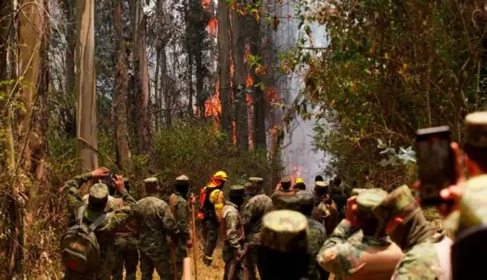 Militares y bomberos se han unido para contener las llamas. / AFP