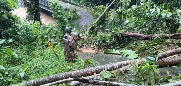 Elementos de la Fuerza Armada realizaron labores de contingencia tras árboles caídos/ Foto cortesía.