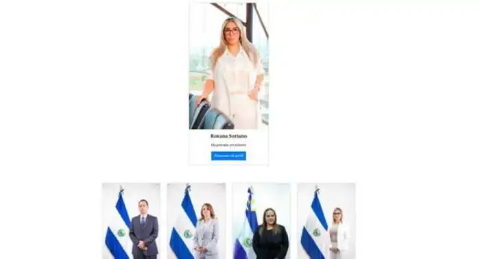 Pestaña del sitio web del Tribunal Supremo Electoral con un resumen del perfil de los nuevos magistrados.